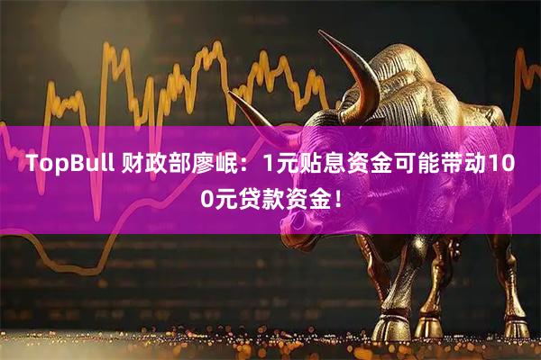 TopBull 财政部廖岷：1元贴息资金可能带动100元贷款资金！